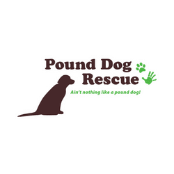 pound dog rescue logo